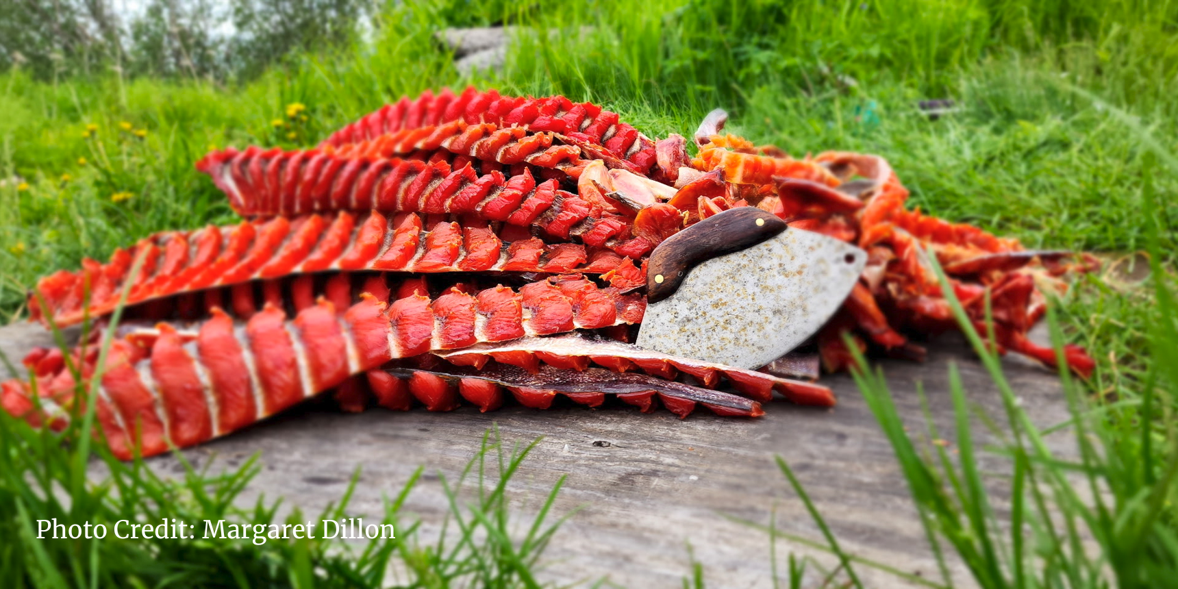 Photo credit Margaret Dillon (1)