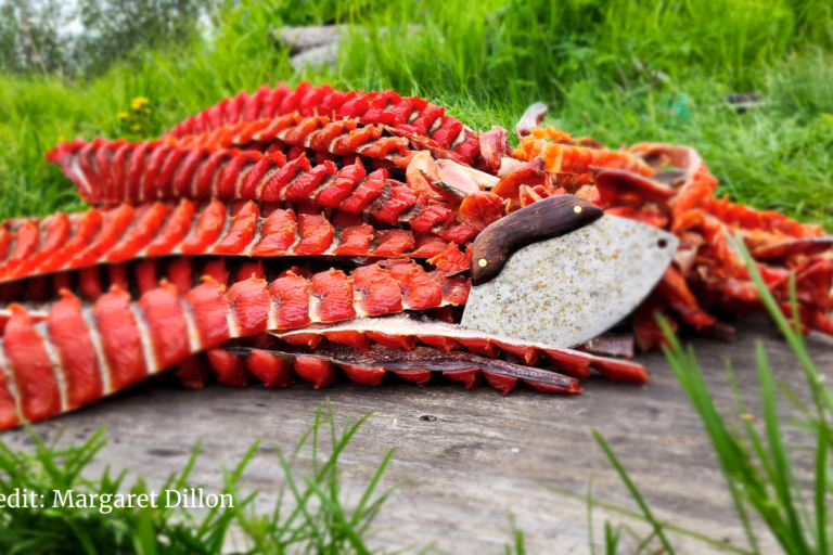 Photo credit Margaret Dillon (1)