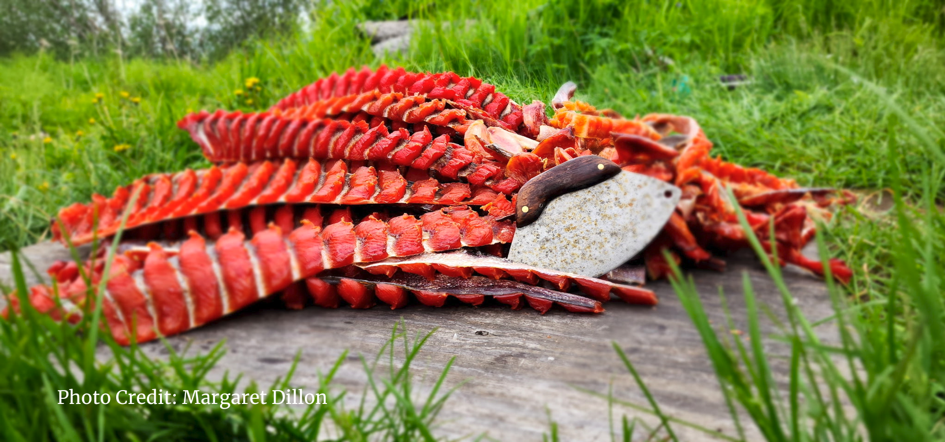 Photo credit Margaret Dillon (1)